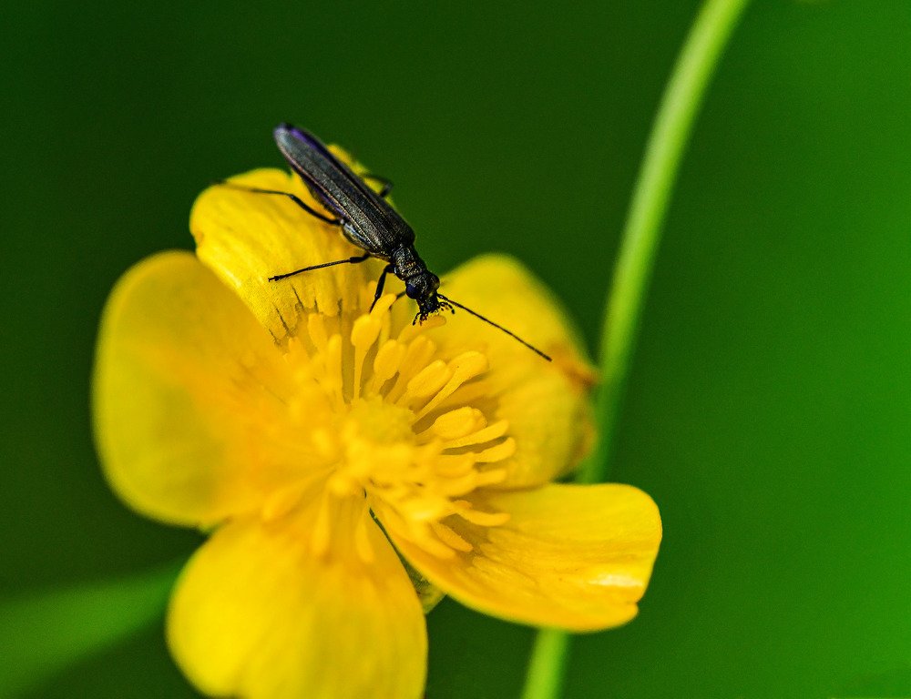 Фотография автора VadimKOVA
