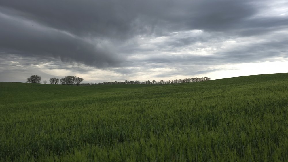 Photograph by Вадим Буцыкин