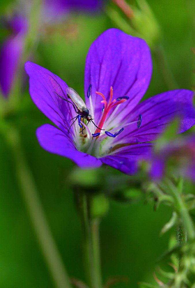 Фотография автора VadimKOVA