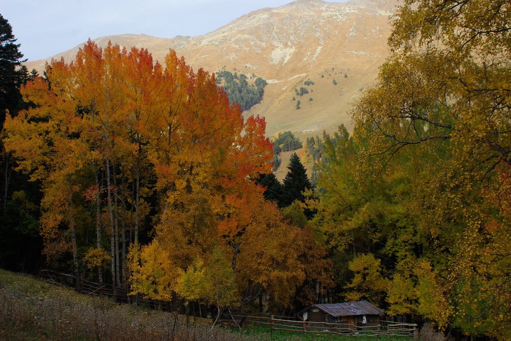 Photograph by Андрей Любимов