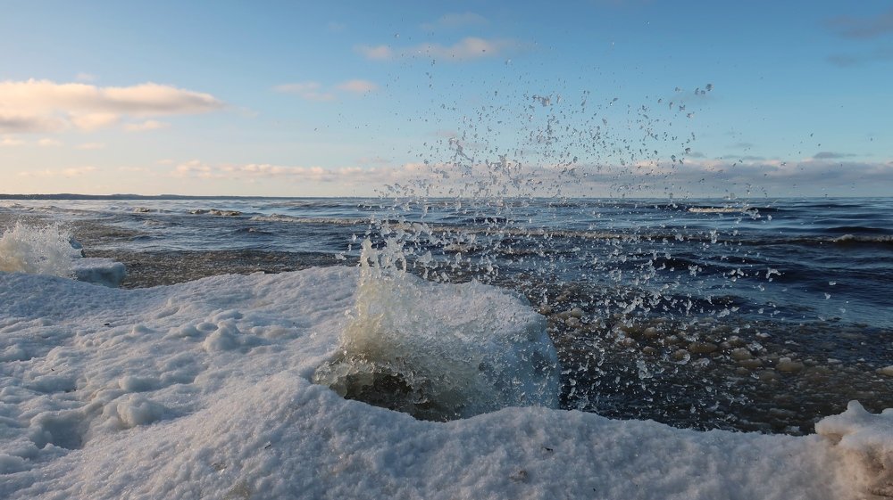 Photograph by Алина Голубева