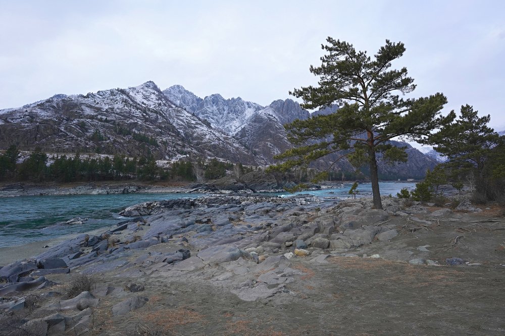 Photograph by Татьяна Предеина