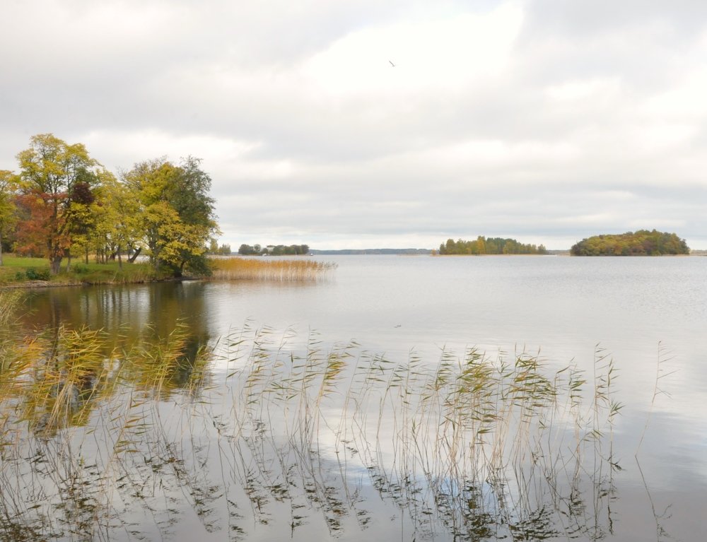 Photograph by Алина Голубева