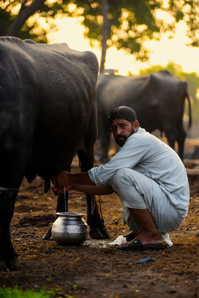 Photograph by Iqbal Tayyab