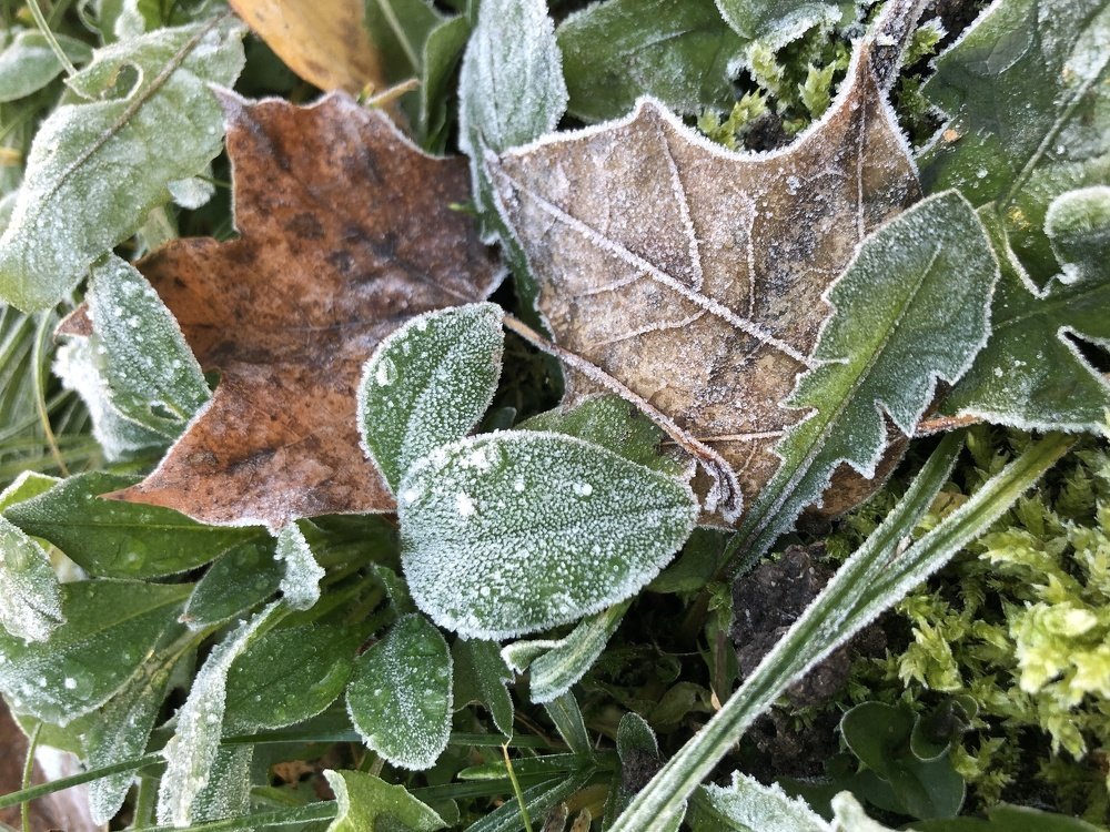 Photograph by Валентина Рязанцева