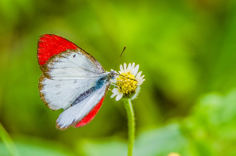 Photograph by Kushal Sharma