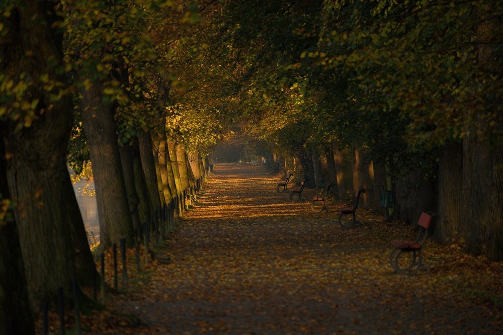 Photograph by Radek Lenhart