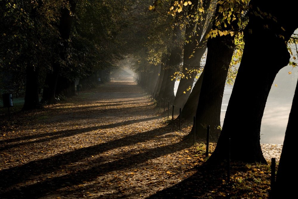 Photograph by Radek Lenhart