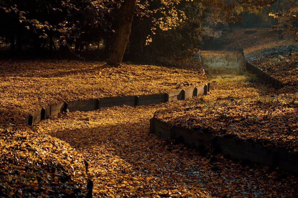 Photograph by Radek Lenhart