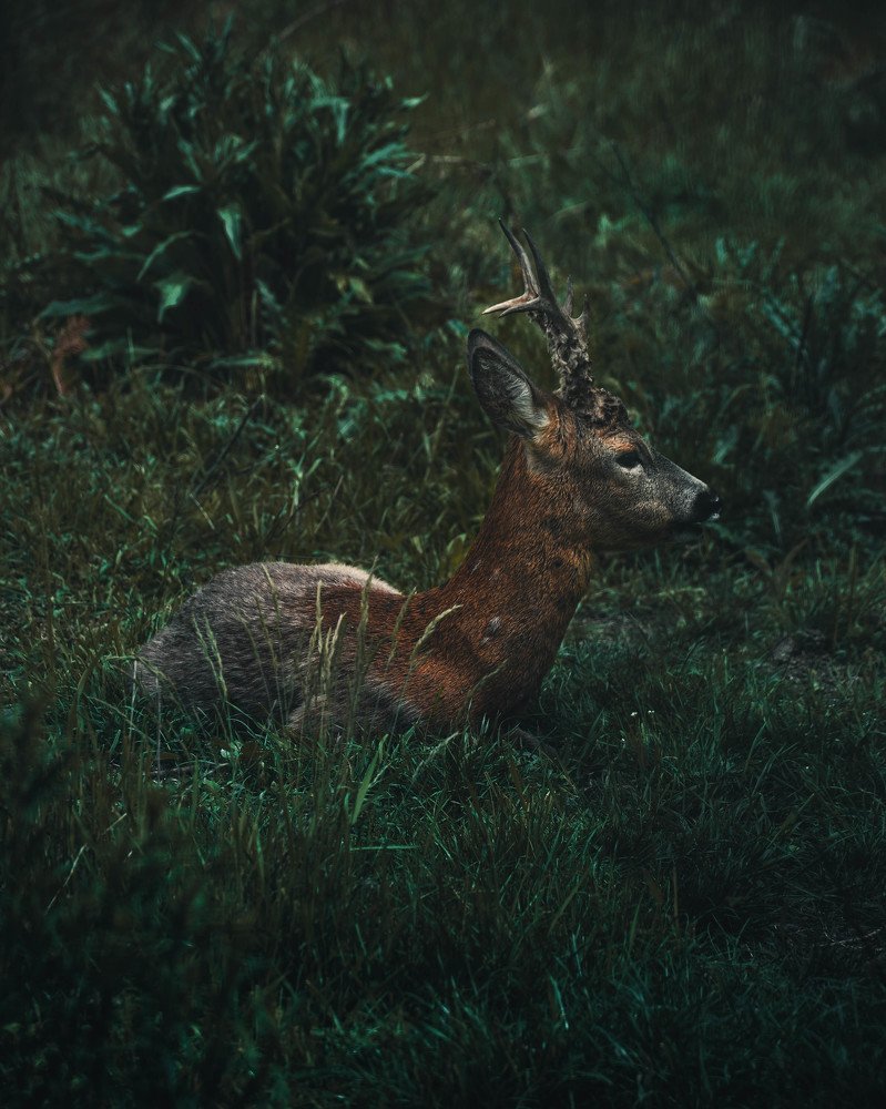 Photograph by Владимир Кирик
