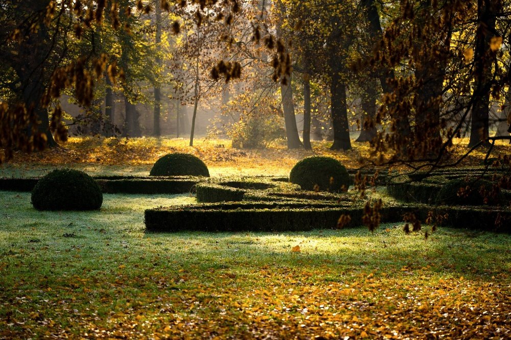 Photograph by Radek Lenhart