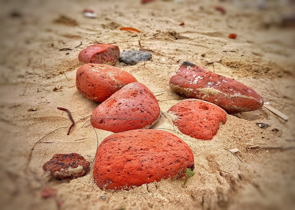 Photograph by Kushal Sharma