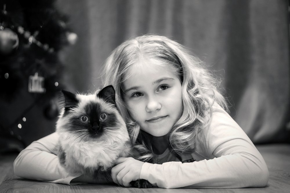 Портрет на память