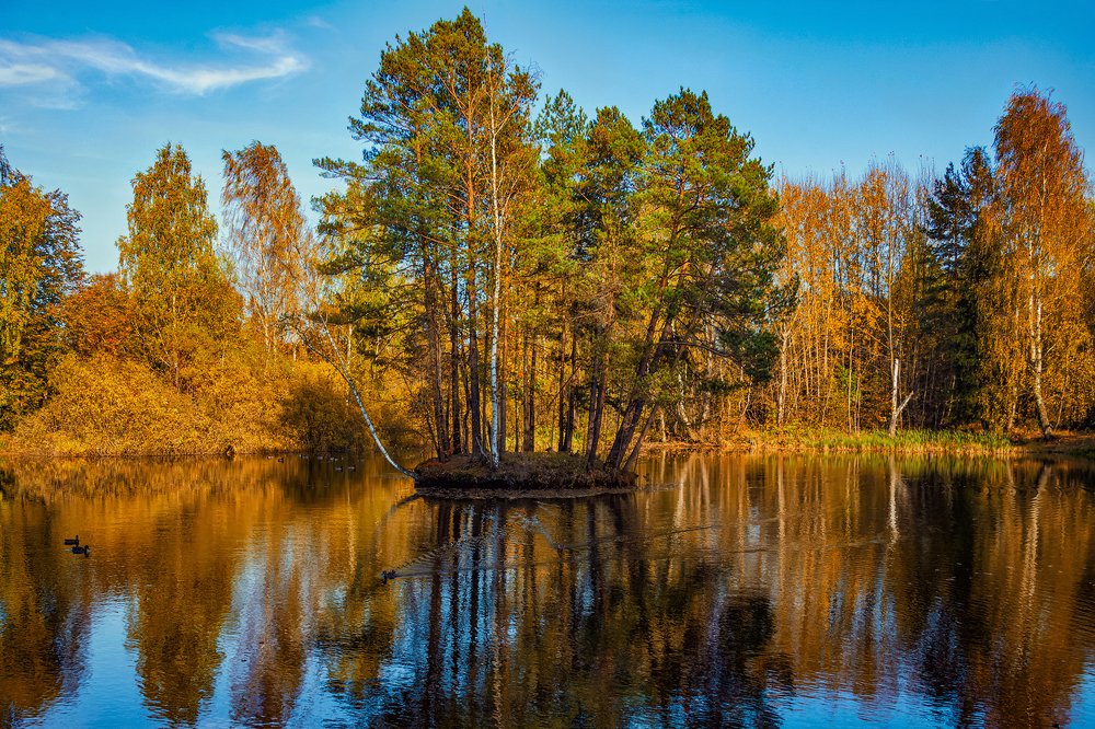 Старый пруд.
