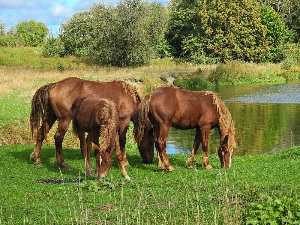 Photograph by Диана Бородзе
