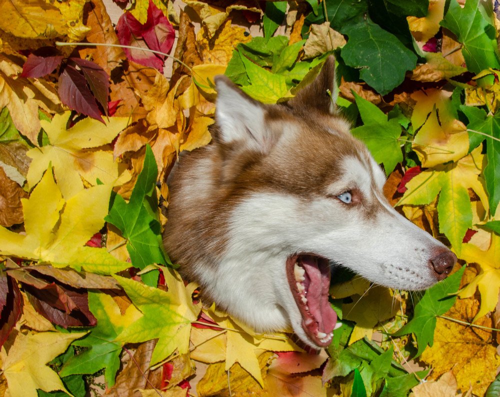 Photograph by Олег Смирнов