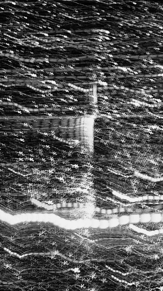 Photograph by Юлия Серазетдинова