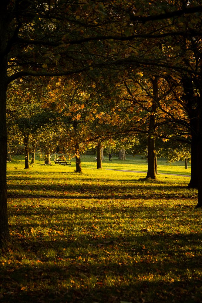 Фотография автора Оксана Мерзликина