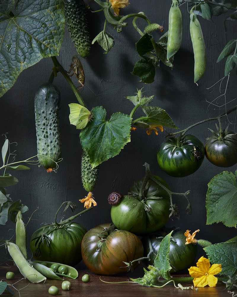 Зелёный натюрморт