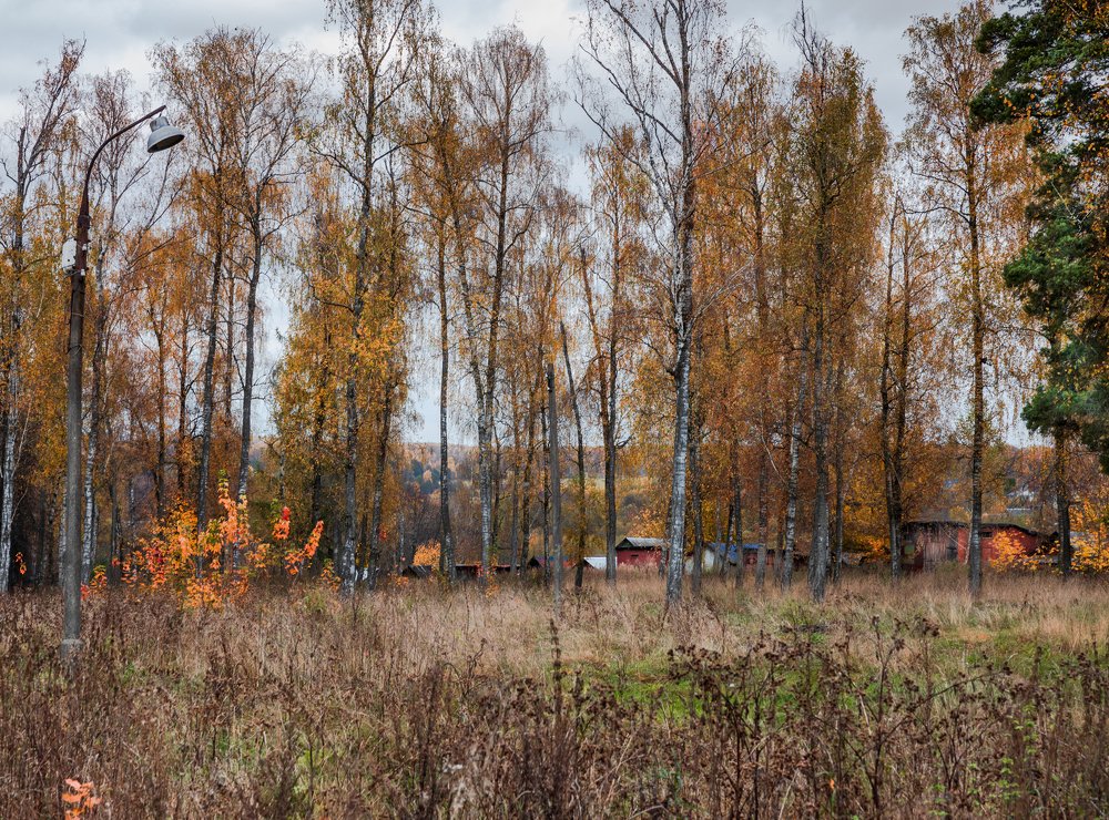 Photograph by Алексей Артышко