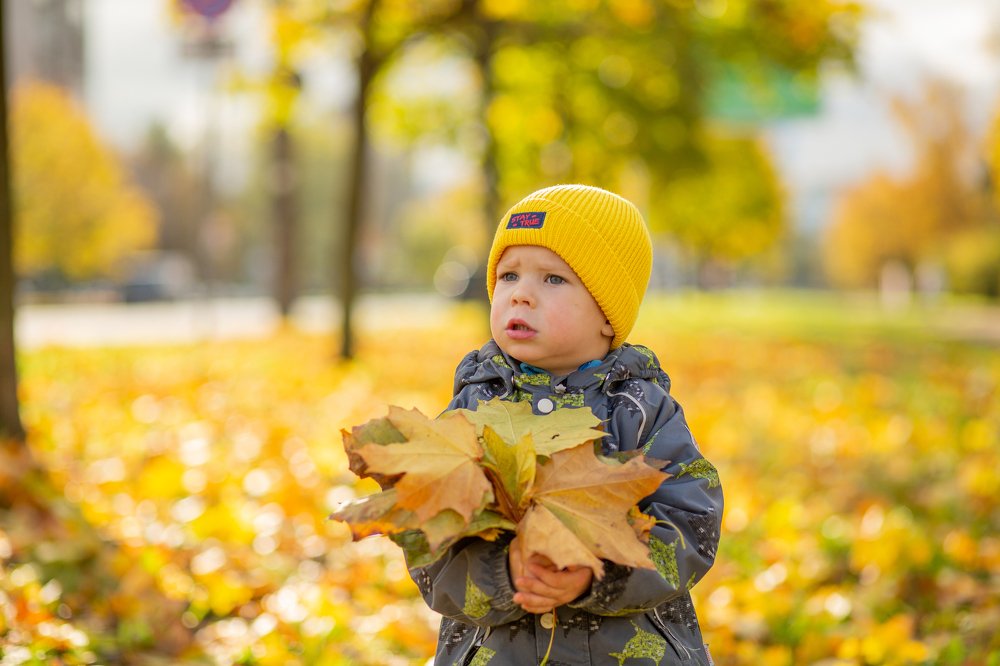 Photograph by Надежда Заломаева