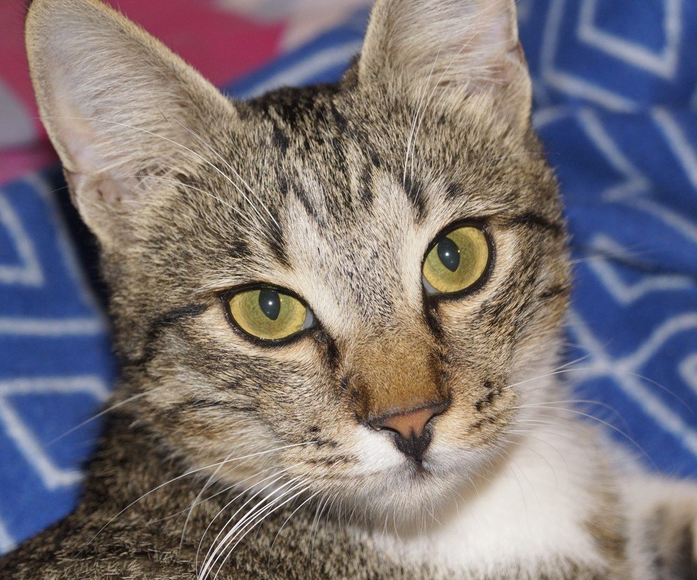 Photograph by Ольга Худорожко