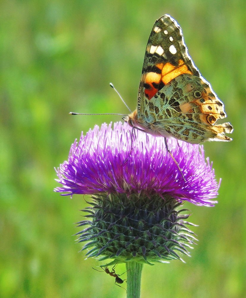 На разных этажах