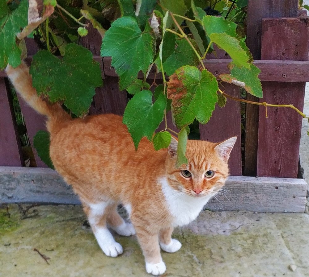 Photograph by Ольга Худорожко