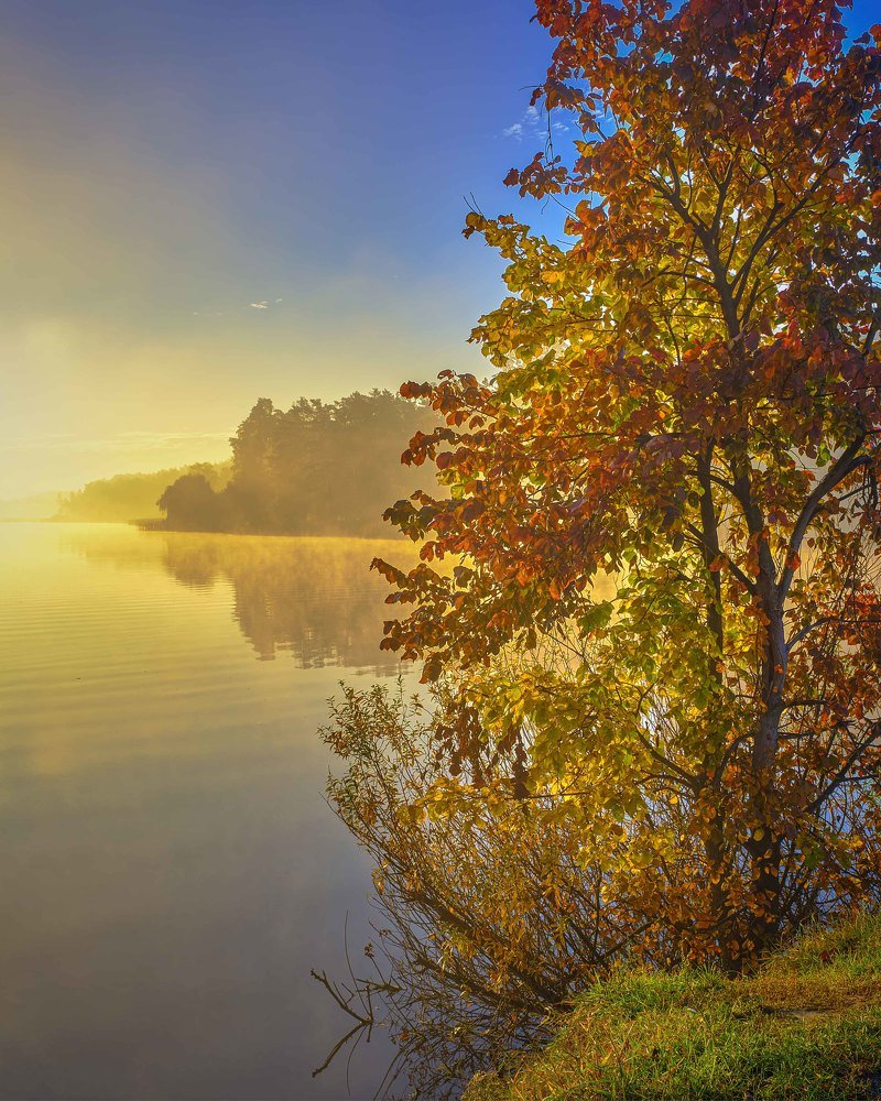 Photograph by Александр