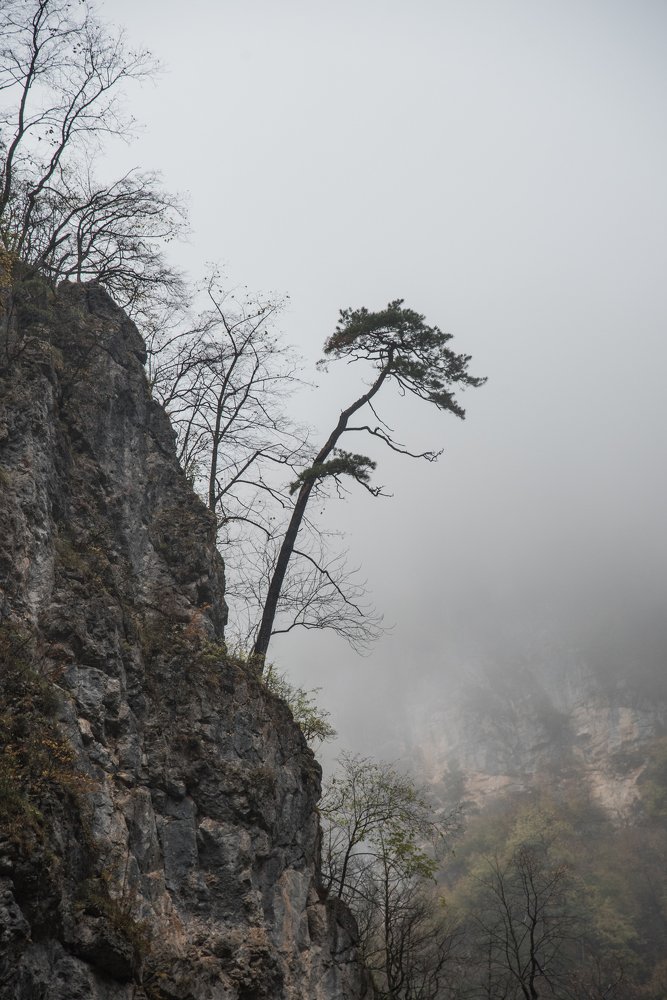 Photograph by Михаил Кравченко