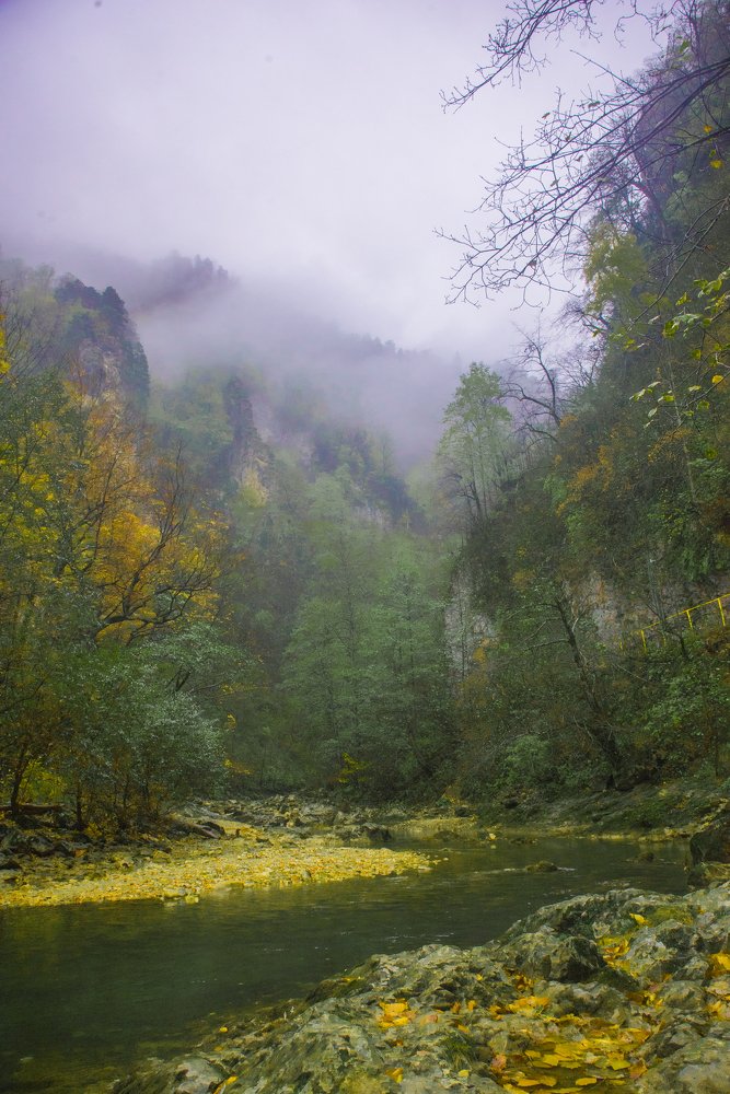 Photograph by Михаил Кравченко