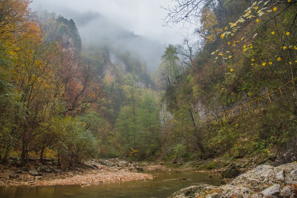 Photograph by Михаил Кравченко