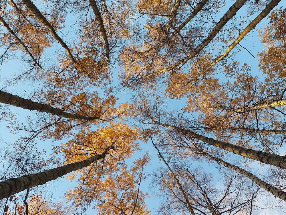 Photograph by Евгений Устинов