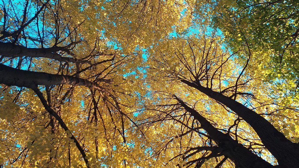 Photograph by Евгений Устинов