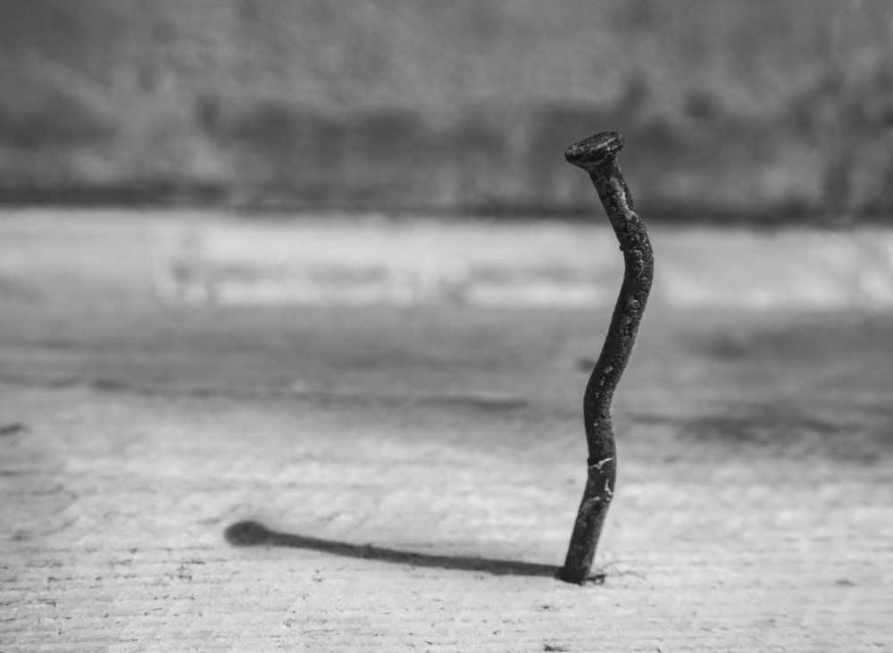 Photograph by Randy Betancourt