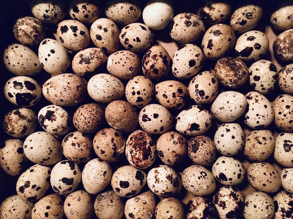 Photograph by Валерия Фаткуллина