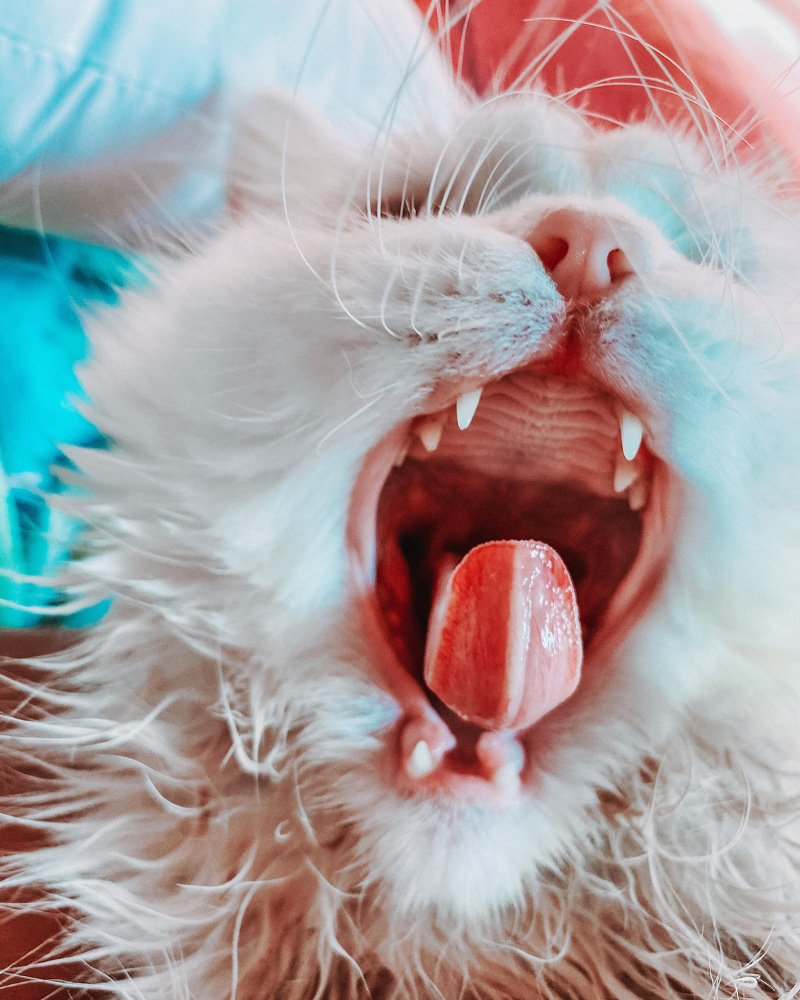 Photograph by Валерия Фаткуллина