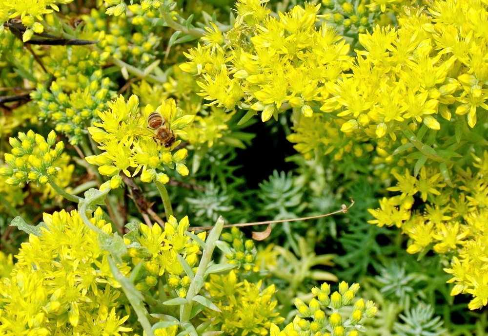 Photograph by Александр Шумаков