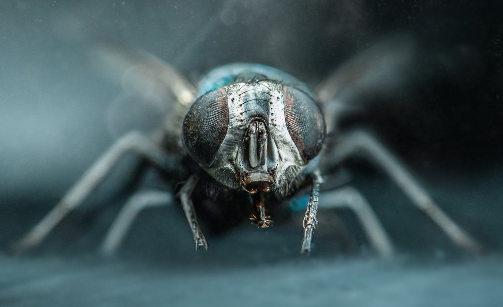 Photograph by Алексей Карпинчик