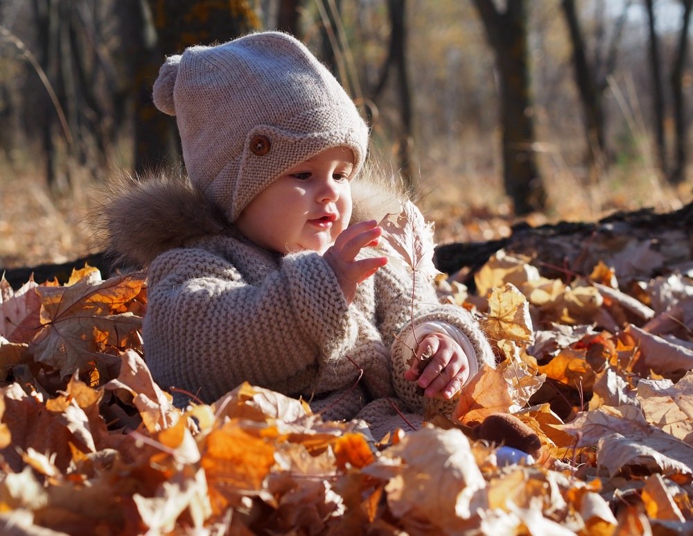 В лучах осени...