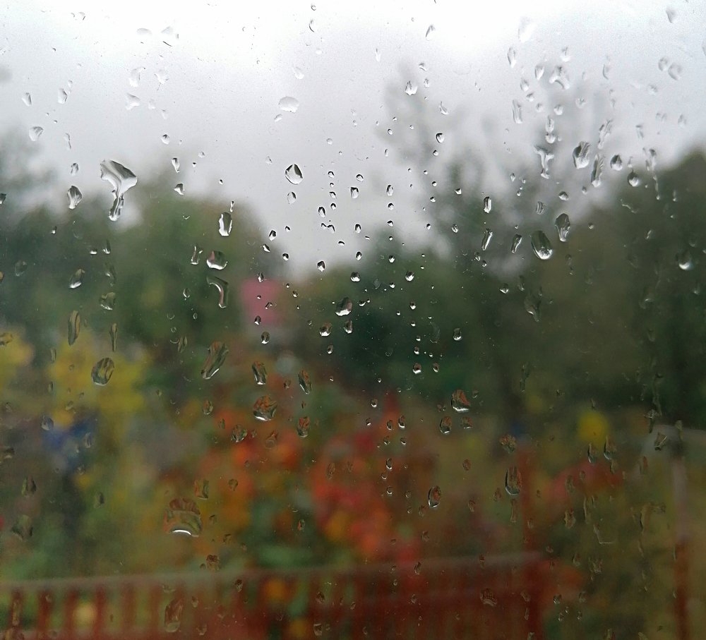 Photograph by Мария Попова