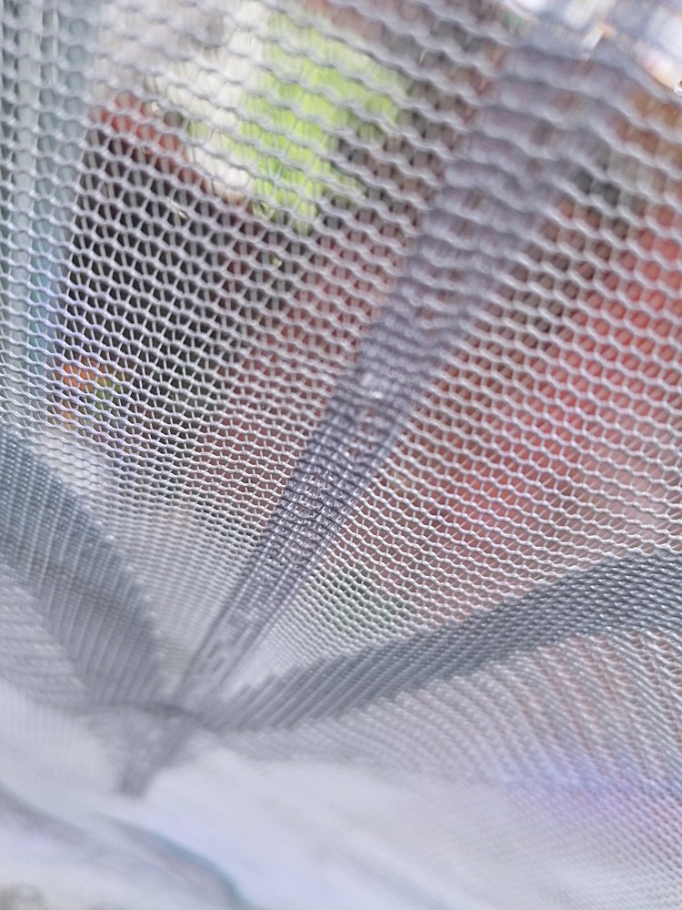 Photograph by Мария Попова