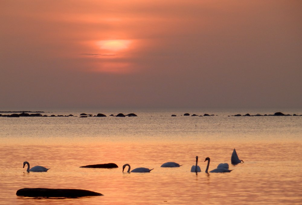 Photograph by Ирина Арканова