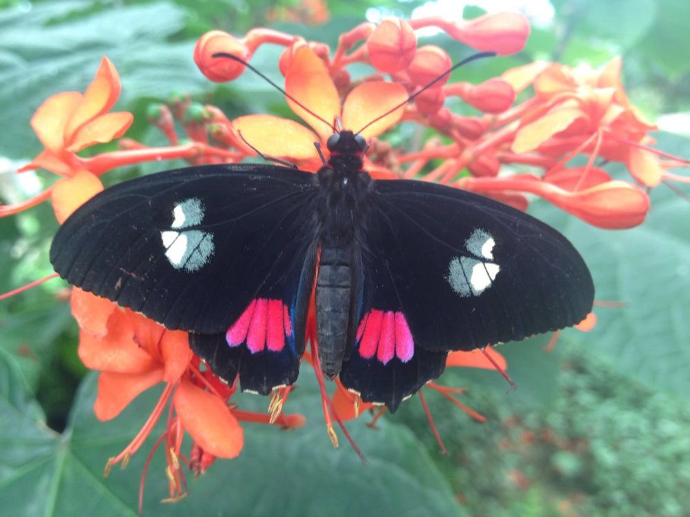 Photograph by HAYLEY SPINK