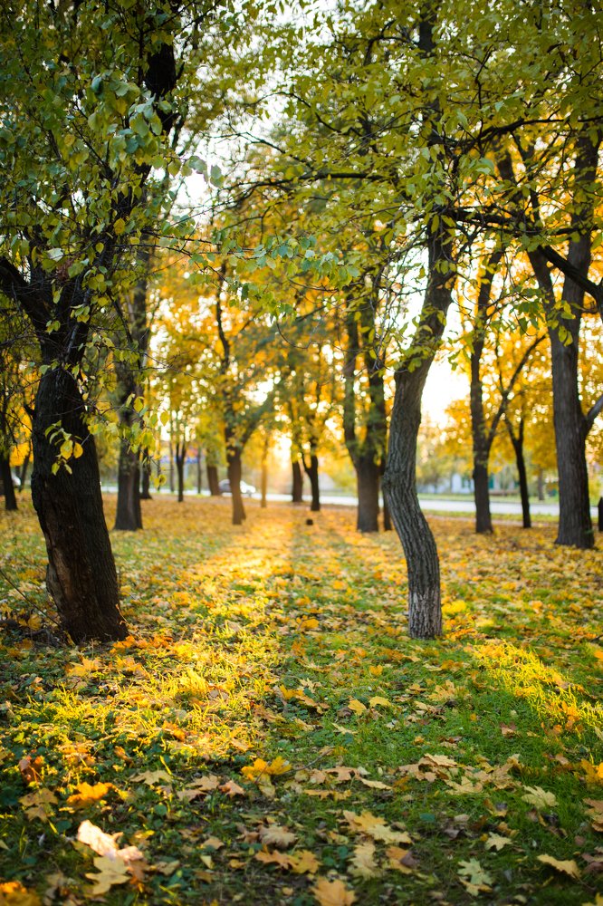 Photograph by Olia Kovryhina (Kudrina)