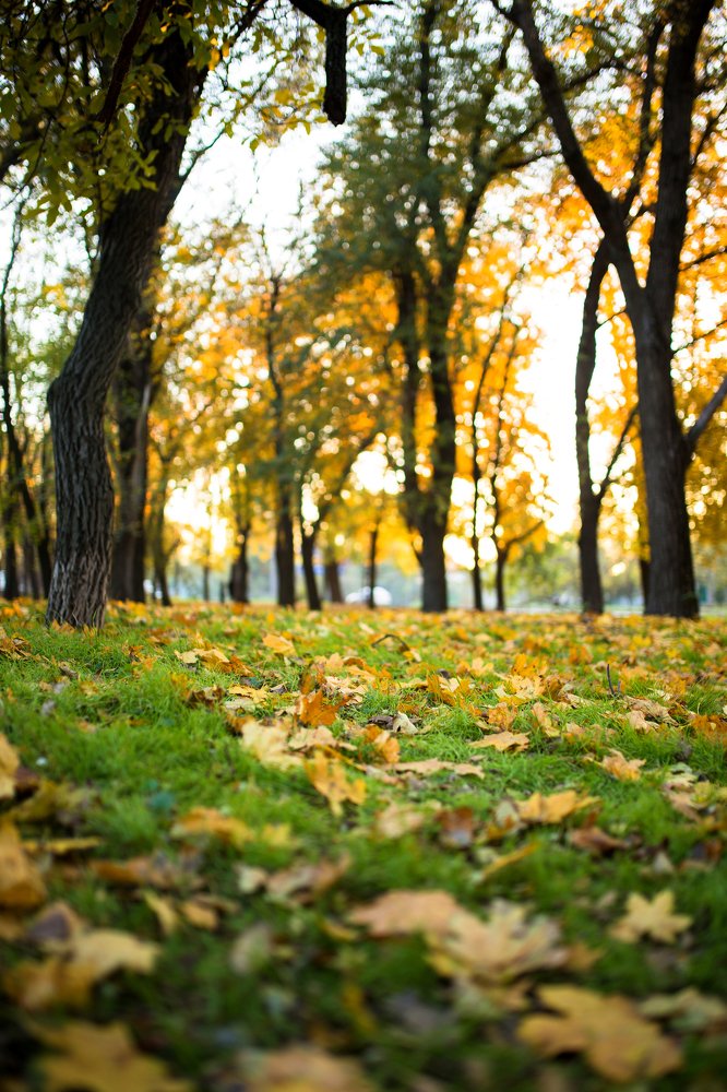 Photograph by Olia Kovryhina (Kudrina)