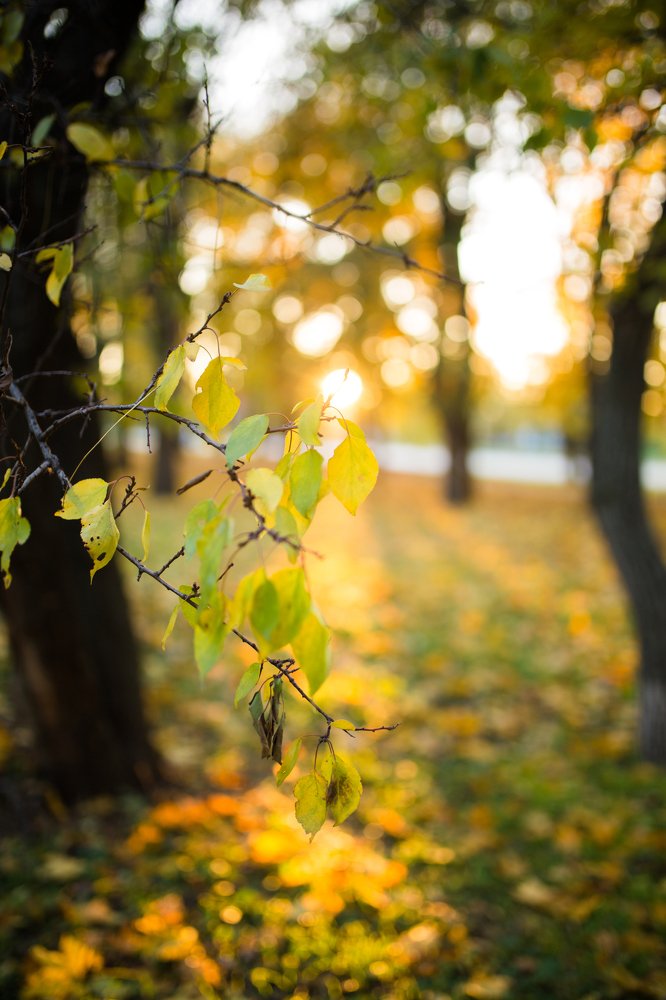 Photograph by Olia Kovryhina (Kudrina)