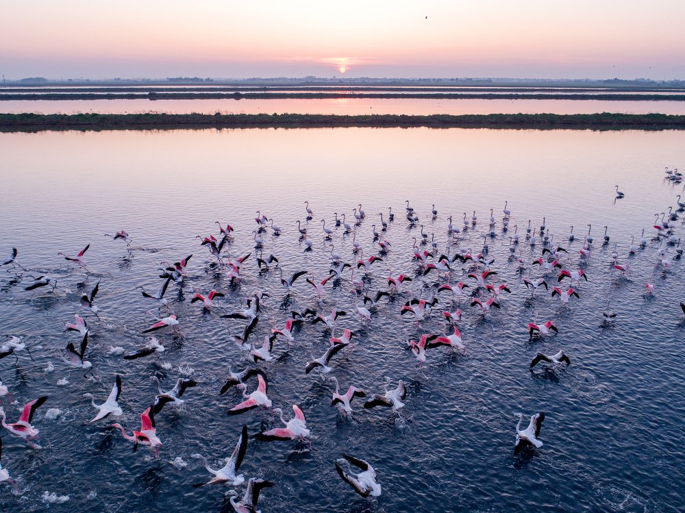 Photograph by Rodolfo Martelli