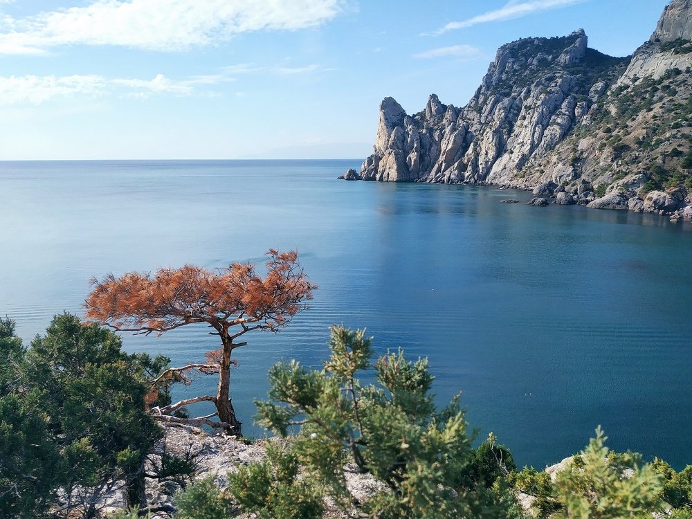 Photograph by Екатерина Харитонова