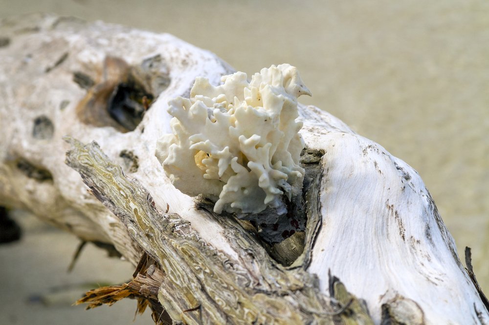 Maritime Composition